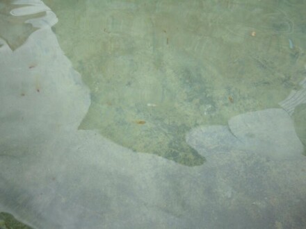 Fontaine verwischt