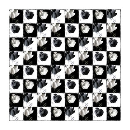 Tulpenquadrat