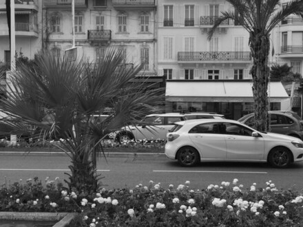 La-Croisette-
