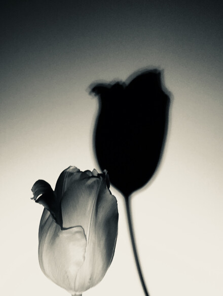wirft Schatten zwei
