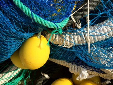 Frucht