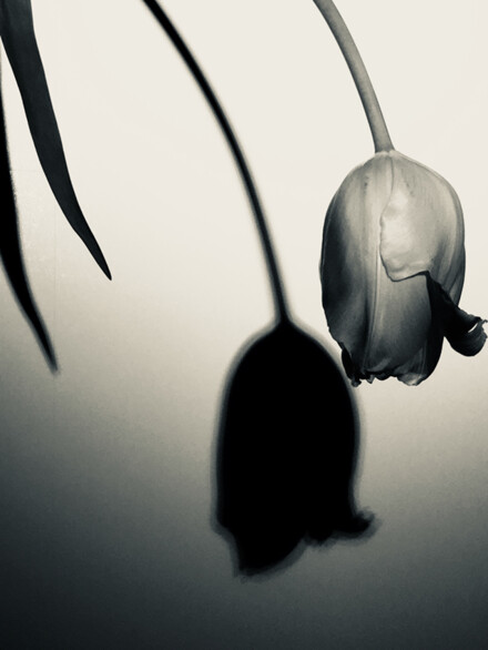wirft Schatten
