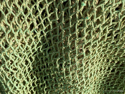 Relief