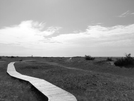 durch die Düne